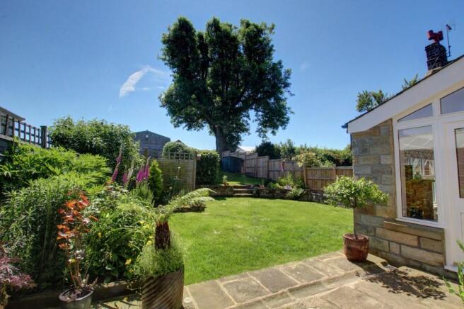 Back Garden