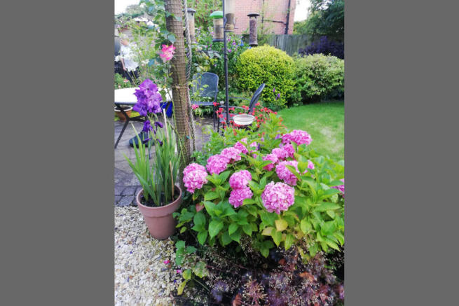 Vendor Garden 2