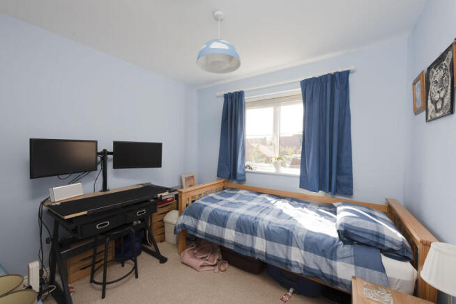 Picture 8