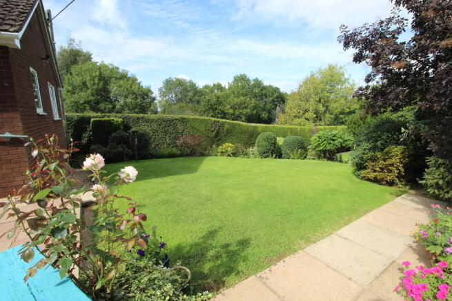 Photo 15