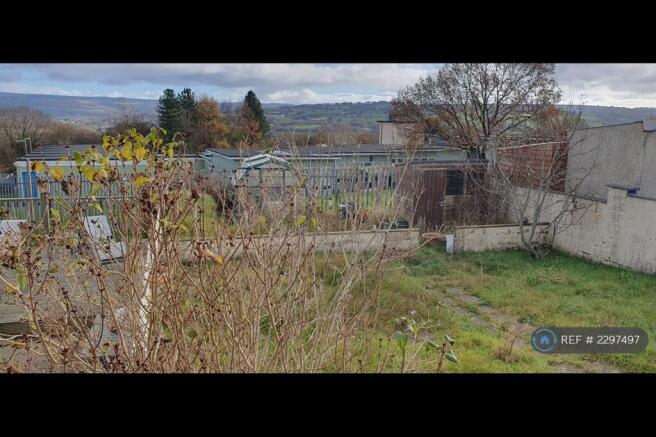 Back Garden - Autumn