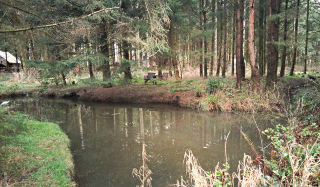 Copy of pond 5