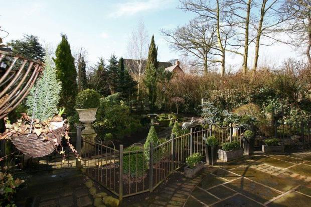 Mature Garden