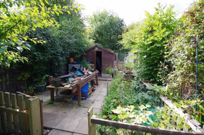 Veg plot