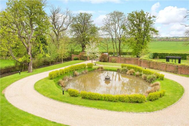Natural Pond