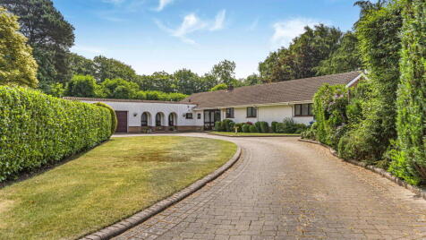 Roman Lane, Little Aston Park