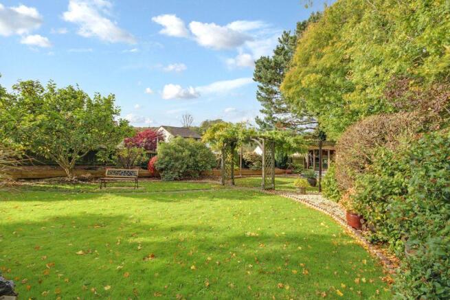 Garden at Back