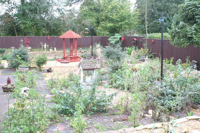 Photo 8