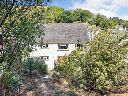 Mill Meadow, Ashburton