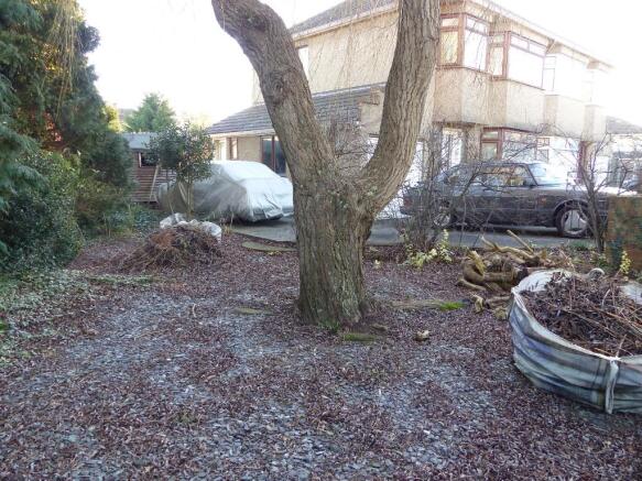 Side Garden