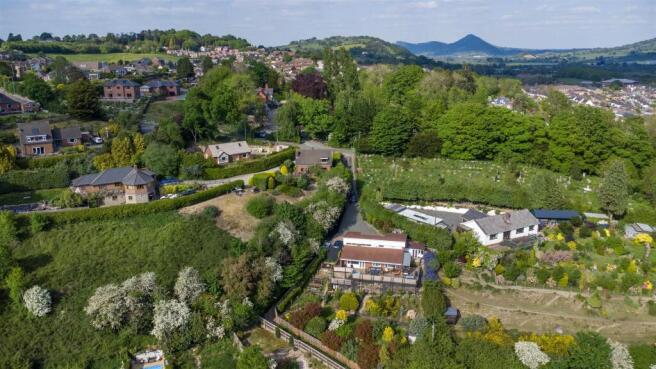 DJI_0990.jpg