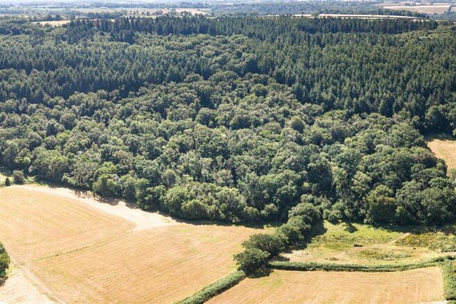 Forest Whole