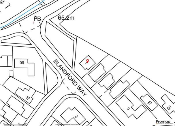 Promap-2845313-2947884-750400-0.jpg