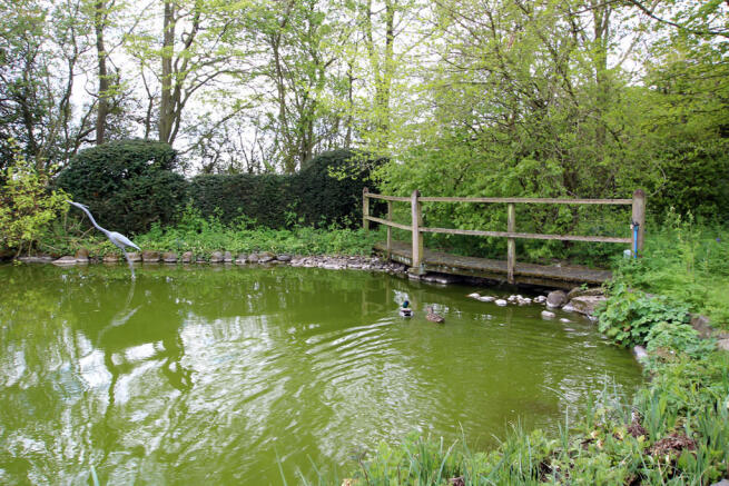 Photo 45
