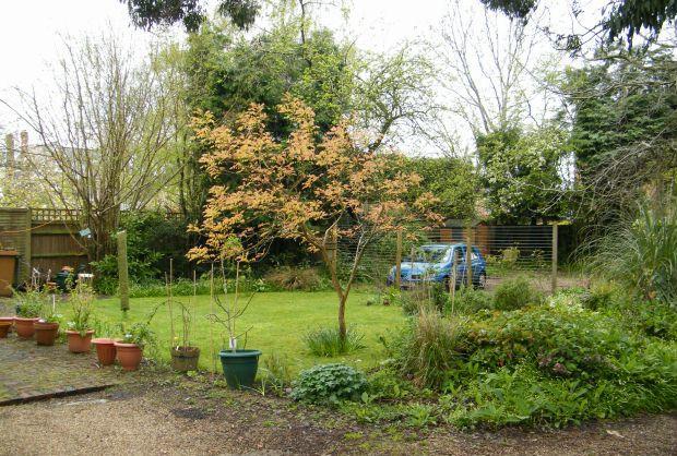 COMMUNAL GARDENS