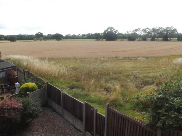 Rear Views