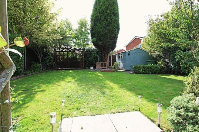 Photo 15