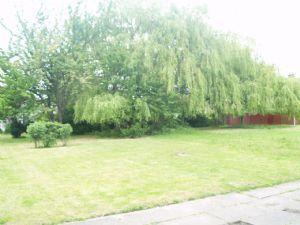 View to Front