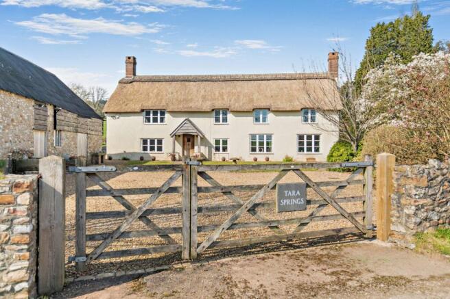 Tara Springs