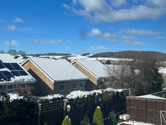 View From Rear