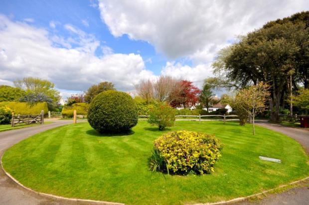 Front Garden