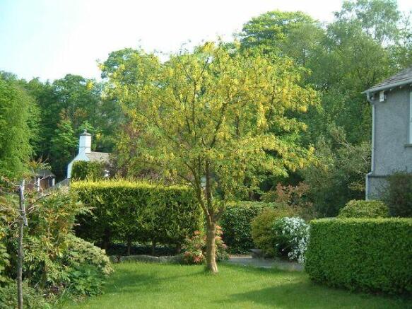 Spring garden
