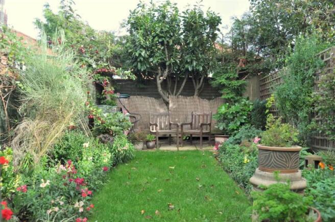 Photo 11