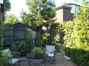 Garden 2