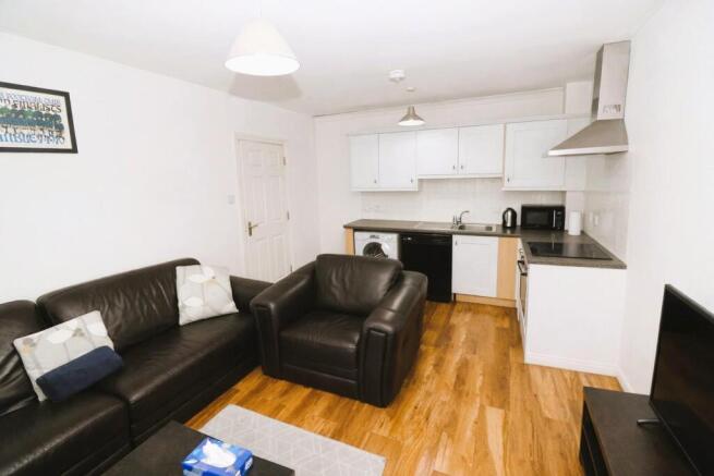 Lounge/Dining/Kitchen Area