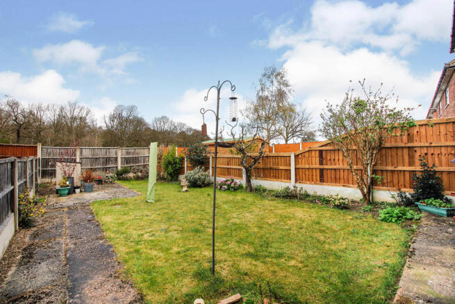 PHOTOGRAPHY