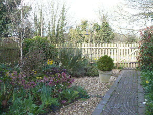 Photo 13