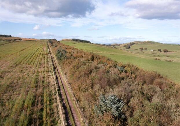 Willow Access Road