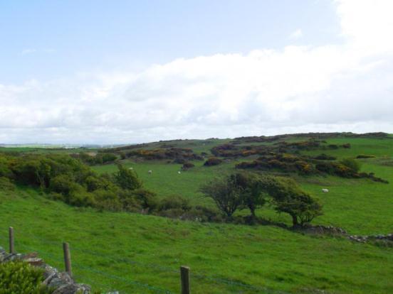 Fields