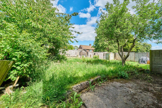 P1462863 T202506021845.jpg