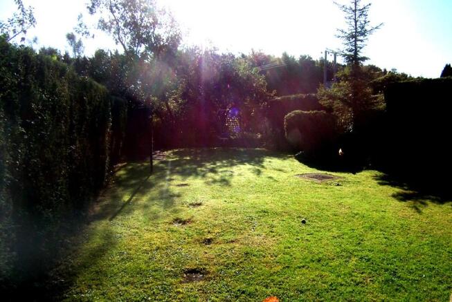 Rear garden