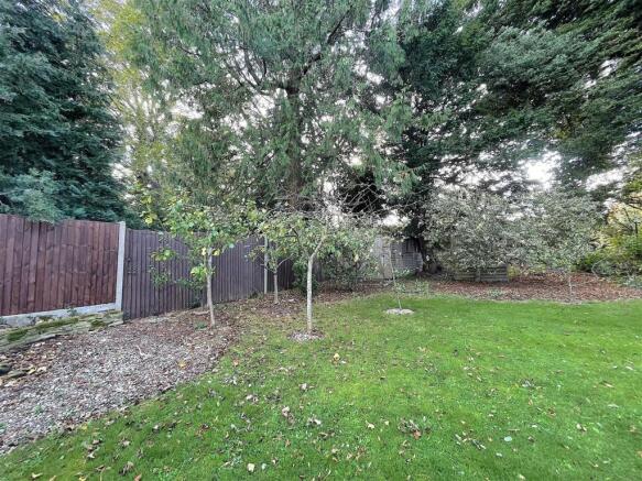 Garden 6 .jpeg