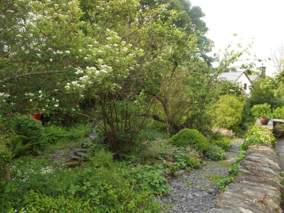 SIDE GARDEN