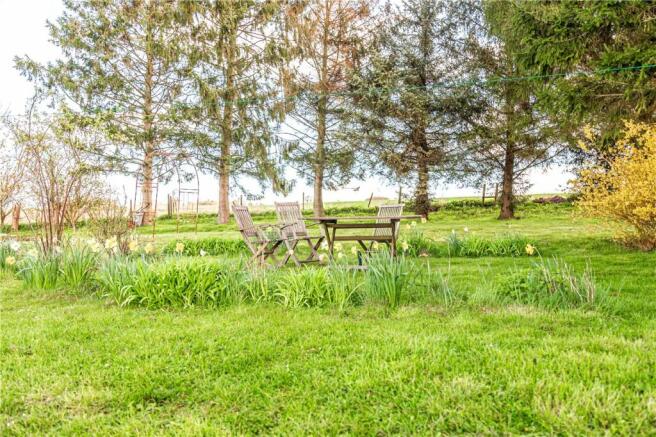 Countryside Views