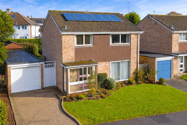 ChatGPT Image Feb 20, 2026, 05_24_49 PM.png