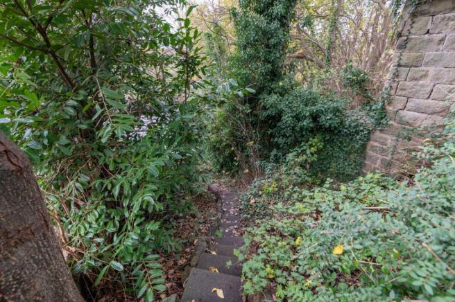 Steps To The River