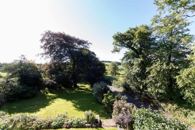 View from Bedroom...