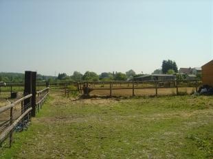 Paddock