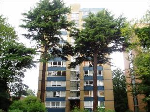 External