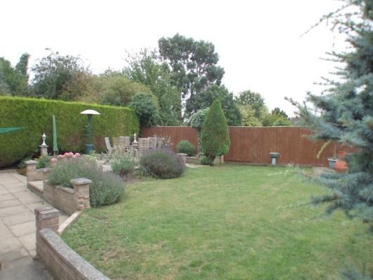 Garden 2