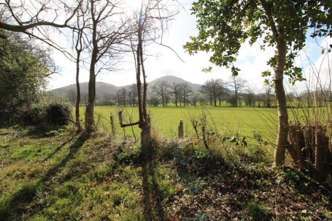 View from wooded are