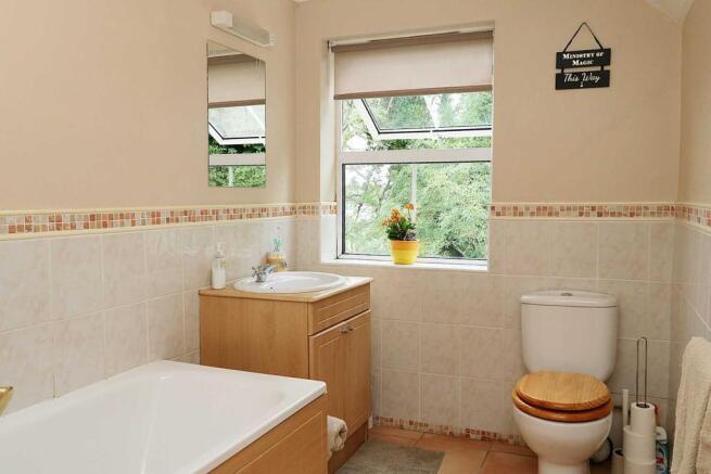 Photo 11
