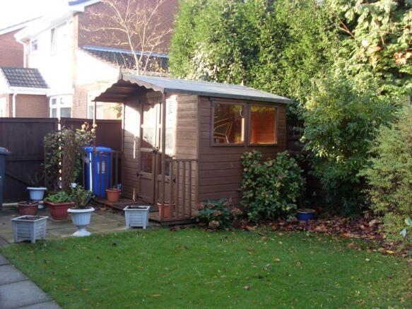 Photo 11