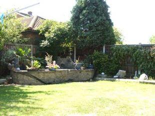 South Facing Garden