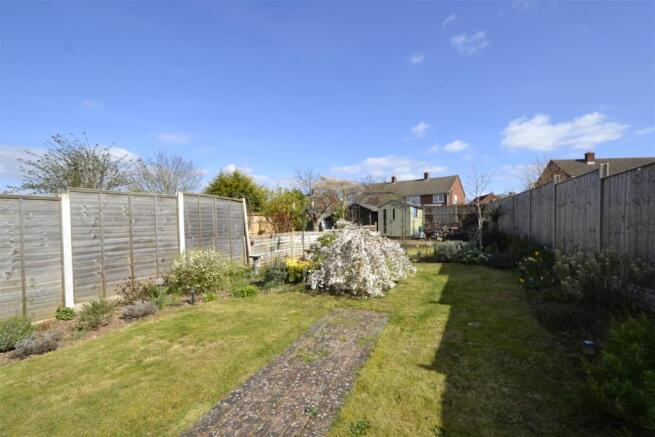 garden 3.jpg