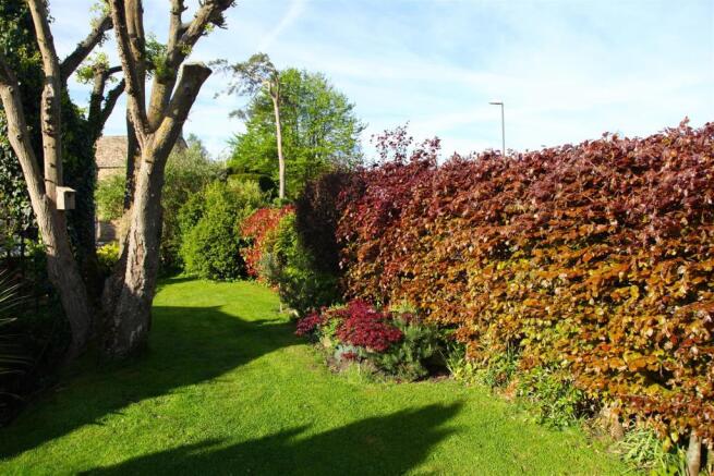 garden.jpg